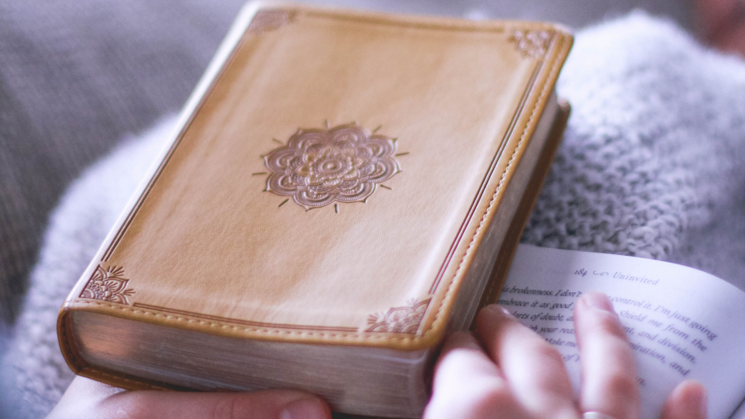 6 Best Catholic Bibles for Beginners Scrupulous Catholic